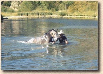 Patrick and Tobo - Water Clinic